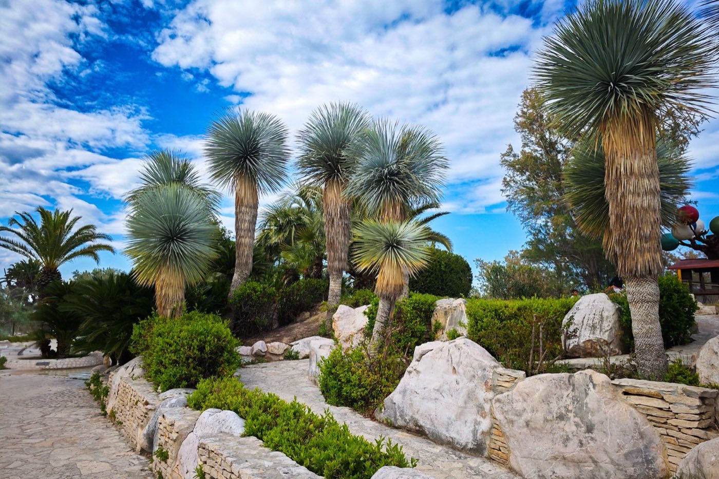 Giardini di palme sul lungomare di San Benedetto